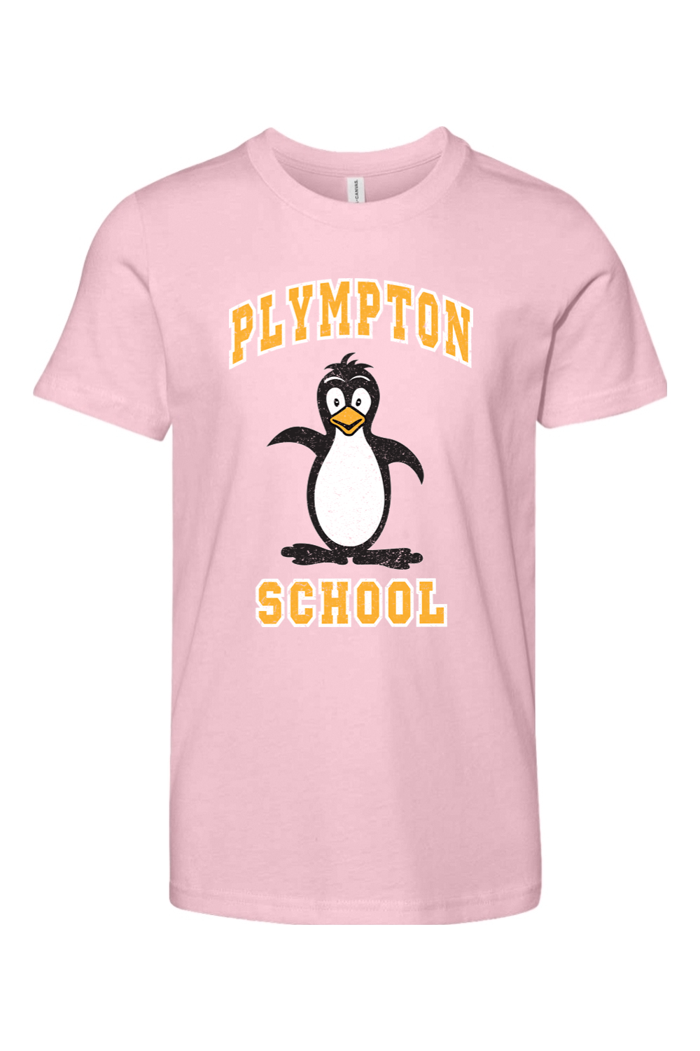 Plympton School Jersey T-Shirt - Youth