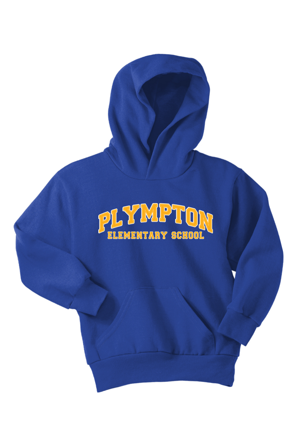 Plympton School Hoodie - Youth